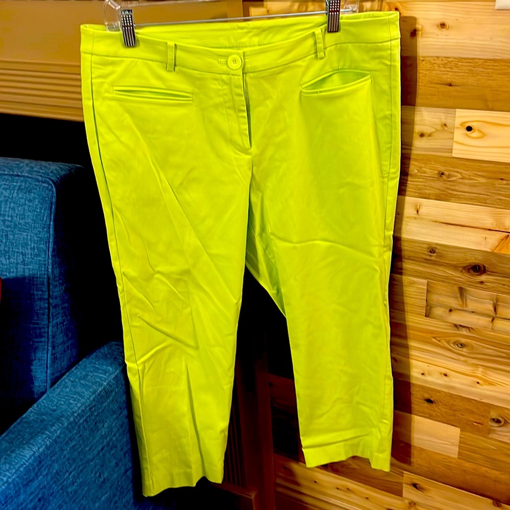 Size 16 Lane Bryant ankle pants